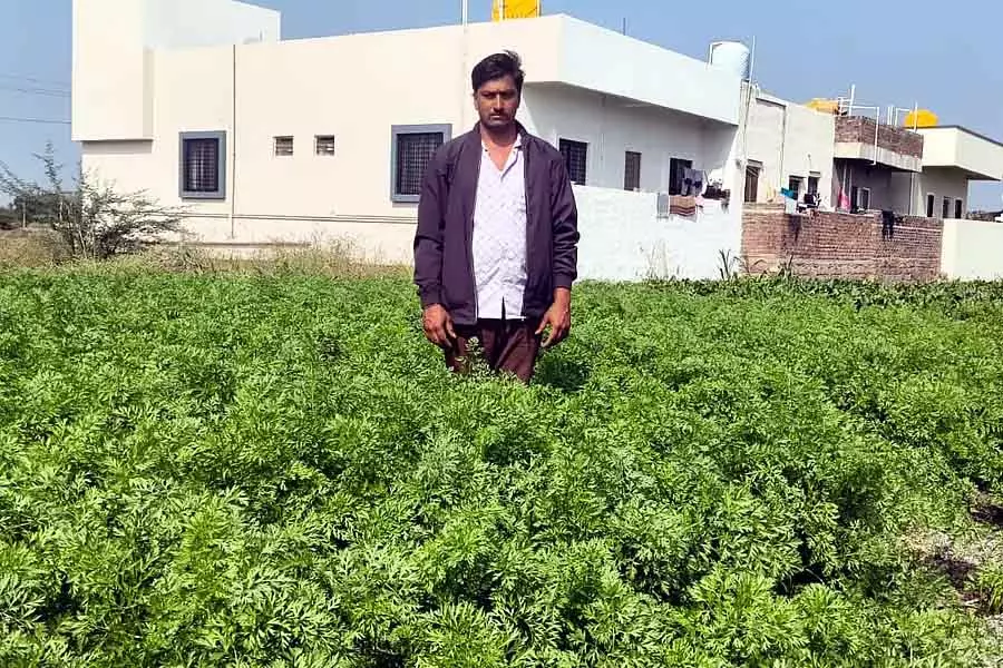 Karnataka : एक किसान जो ढाई एकड़ में दर्जनों फसलें उगाता है Karnataka : एक किसान जो ढाई एकड़ में दर्जनों फसलें उगाता है