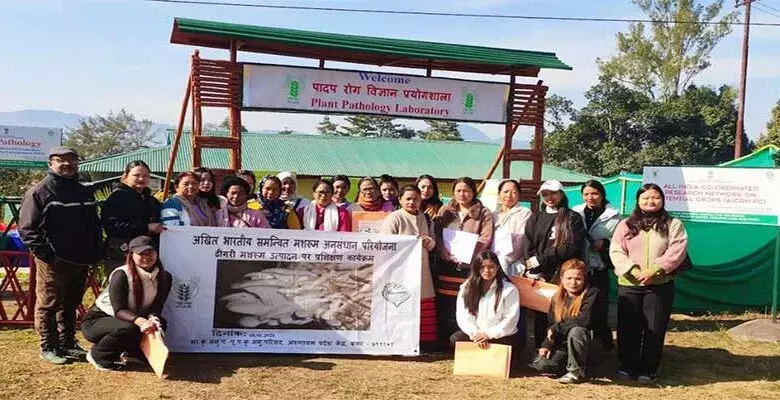 Arunachal: महिलाओं को ऑयस्टर मशरूम उद्यमों में प्रशिक्षित किया गया