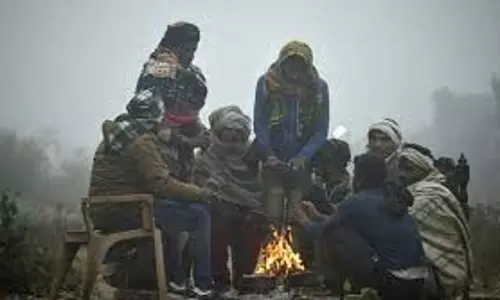 Haryana Weather  : कड़ाके की ठंड, .इन जिलों में यलो अलर्ट जारी