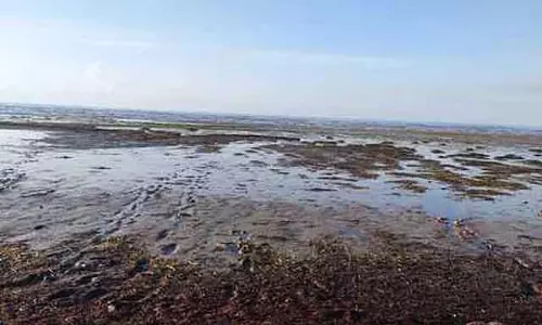 Pamban में समुद्र 400 मीटर तक बढ़ गया, लोग डरे हुए है