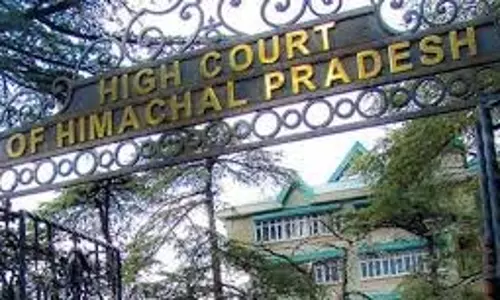 Himachal Pradesh: अवैध खेती और शिकार पर High Court सख्त Himachal Pradesh: अवैध खेती और शिकार पर High Court सख्त