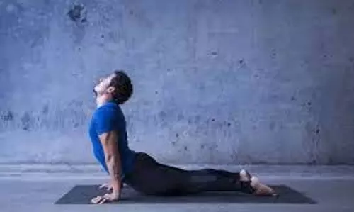 Yoga For Spine: रीढ़ की हड्डी के लिए फायदेमंद है ऊर्ध्व मुख श्वानासन, जानिये करने का तरीका Yoga For Spine: रीढ़ की हड्डी के लिए फायदेमंद है ऊर्ध्व मुख श्वानासन, जानिये करने का तरीका