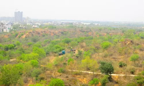 Aravallis में दो दशकों में 120 जलस्रोत कैसे खत्म हो गए Aravallis में दो दशकों में 120 जलस्रोत कैसे खत्म हो गए