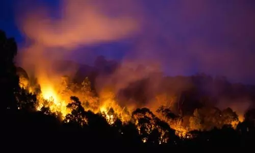 ऑस्ट्रलिया: भीषण आग से झुलस रहा विक्टोरिया राज्य, 200 जगहों पर लगी, 120 बिल्डिंग क्षतिग्रस्त ऑस्ट्रलिया: भीषण आग से झुलस रहा विक्टोरिया राज्य, 200 जगहों पर लगी, 120 बिल्डिंग क्षतिग्रस्त