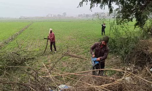 एक दशक बाद, AAP माघी मेले में रैली करने की तैयारी में