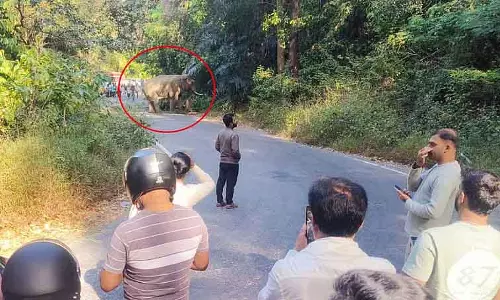 Charmadi घाटी रोड पर खड़े जंगली हाथी की वजह से मैंगलोर-चिक्कमगलुरु ट्रैफिक बाधित Charmadi घाटी रोड पर खड़े जंगली हाथी की वजह से मैंगलोर-चिक्कमगलुरु ट्रैफिक बाधित