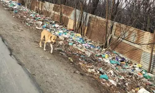 Sopore में कचरे की समस्या, सही वेस्ट मैनेजमेंट की कमी Sopore में कचरे की समस्या, सही वेस्ट मैनेजमेंट की कमी