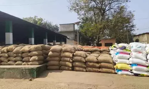 Bhawanipatna धान खरीद की धीमी गति से किसान चिंतित
