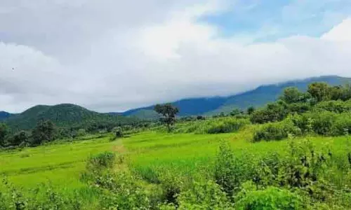 Simlipal में पारा माइनस 1°C तक गिरा, ओडिशा का सबसे कम तापमान Simlipal में पारा माइनस 1°C तक गिरा, ओडिशा का सबसे कम तापमान