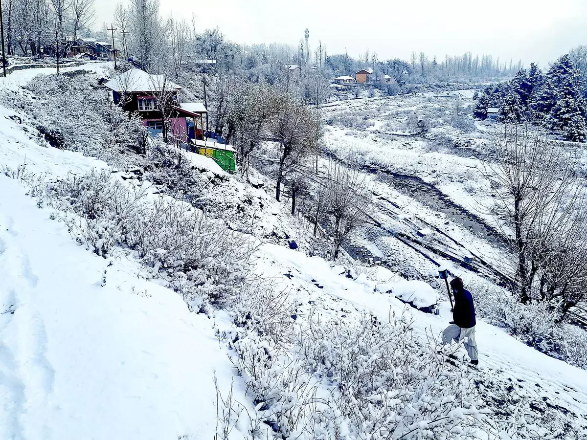 Shimla: कड़ाके की ठंड में हिमाचल, शीतलहर का प्रकोप जारी Shimla: कड़ाके की ठंड में हिमाचल, शीतलहर का प्रकोप जारी
