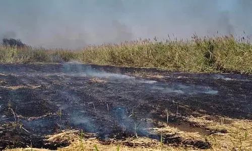 Nalthwara : गन्ने की फसल में आग लग गई Nalthwara : गन्ने की फसल में आग लग गई