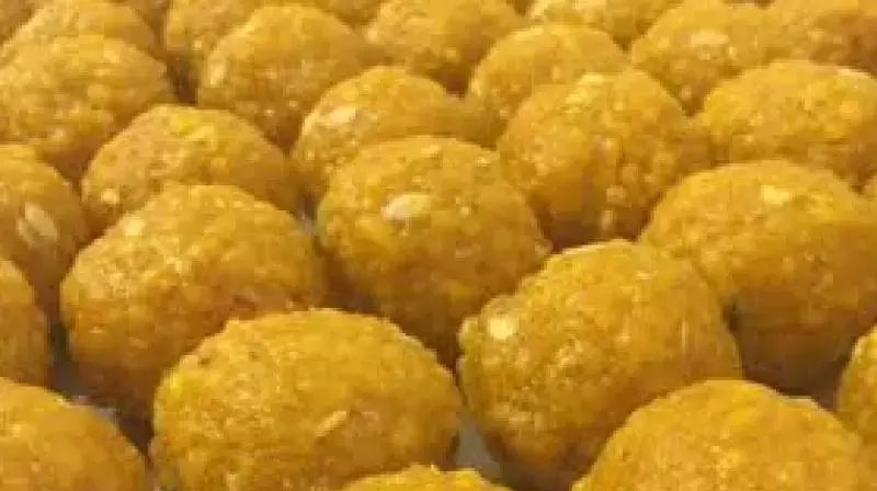 Nellore एसीबी कोर्ट ने लड्डू घी मामले में बाहरी डेयरी विशेषज्ञ को अग्रिम जमानत देने से इनकार किया