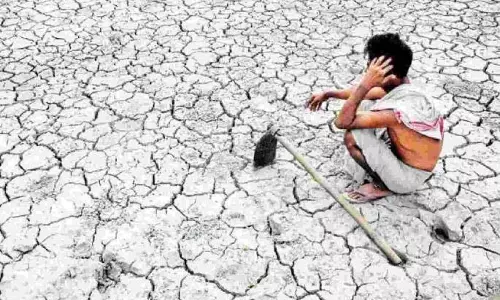 किसान आत्महत्या की चौंकाने वाली सच्चाई: Amravati में एक साल में 21 मौतें किसान आत्महत्या की चौंकाने वाली सच्चाई: Amravati में एक साल में 21 मौतें