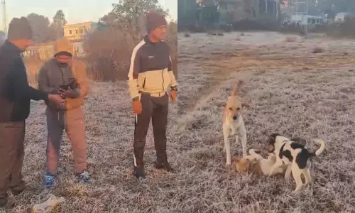 Koida में लगातार चौथे दिन कड़ाके की ठंड Koida में लगातार चौथे दिन कड़ाके की ठंड