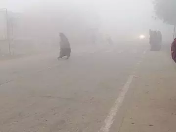 Muzaffarpur: बर्फीली हवाओं से कंपकंपी, कोहरे का कहर Muzaffarpur: बर्फीली हवाओं से कंपकंपी, कोहरे का कहर