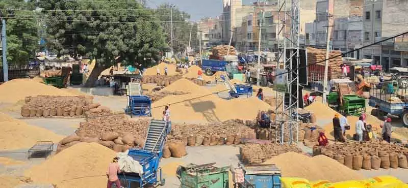 Karnal धान खरीद में नई गड़बड़ियां सामने आईं, जांच तेज Karnal धान खरीद में नई गड़बड़ियां सामने आईं, जांच तेज