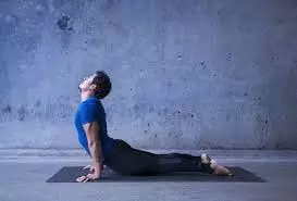 Yoga For Spine: रीढ़ की हड्डी के लिए फायदेमंद है ऊर्ध्व मुख श्वानासन, जानिये करने का तरीका Yoga For Spine: रीढ़ की हड्डी के लिए फायदेमंद है ऊर्ध्व मुख श्वानासन, जानिये करने का तरीका