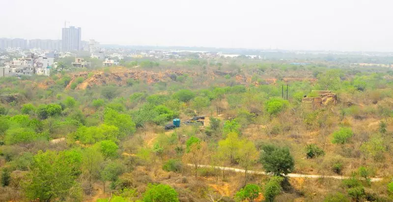 Aravallis में दो दशकों में 120 जलस्रोत कैसे खत्म हो गए Aravallis में दो दशकों में 120 जलस्रोत कैसे खत्म हो गए