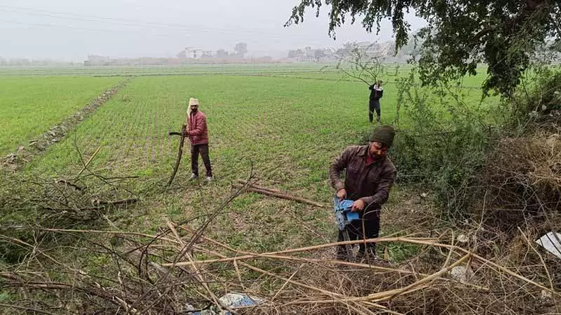 एक दशक बाद, AAP माघी मेले में रैली करने की तैयारी में एक दशक बाद, AAP माघी मेले में रैली करने की तैयारी में
