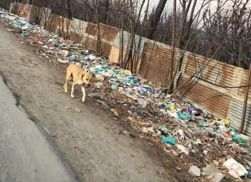 Sopore में कचरे की समस्या, सही वेस्ट मैनेजमेंट की कमी Sopore में कचरे की समस्या, सही वेस्ट मैनेजमेंट की कमी