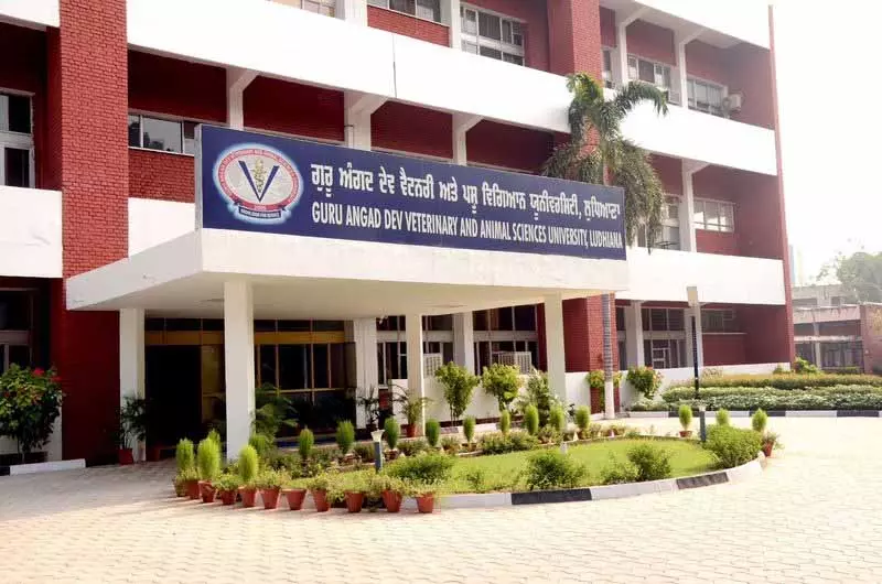 Ludhiana Vet University ने दूध की क्वालिटी और पब्लिक हेल्थ पर सेशन होस्ट किया Ludhiana Vet University ने दूध की क्वालिटी और पब्लिक हेल्थ पर सेशन होस्ट किया