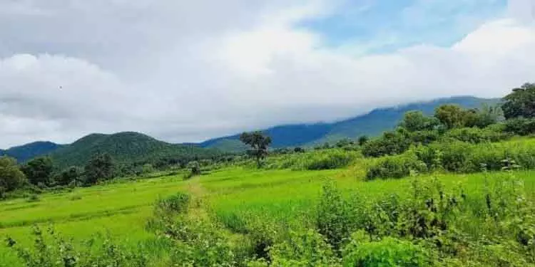 Simlipal में पारा माइनस 1°C तक गिरा, ओडिशा का सबसे कम तापमान Simlipal में पारा माइनस 1°C तक गिरा, ओडिशा का सबसे कम तापमान