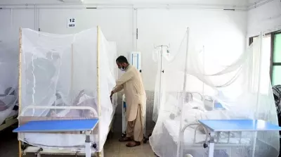 Pakistan: दस्तावेज़ और डर महिलाओं को रोक रहे स्वास्थ्य सेवा से Pakistan: दस्तावेज़ और डर महिलाओं को रोक रहे स्वास्थ्य सेवा से