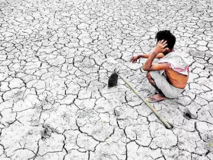 किसान आत्महत्या की चौंकाने वाली सच्चाई: Amravati में एक साल में 21 मौतें किसान आत्महत्या की चौंकाने वाली सच्चाई: Amravati में एक साल में 21 मौतें