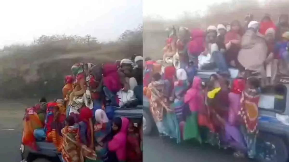 Rajasthan: 16-सीटर जीप में 60 यात्री, जान जोखिम में Rajasthan: 16-सीटर जीप में 60 यात्री, जान जोखिम में