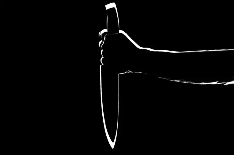 Nagaland: कोंयाक यूनियन ने असम में ड्राइवर पर चाकू से हमले की निंदा