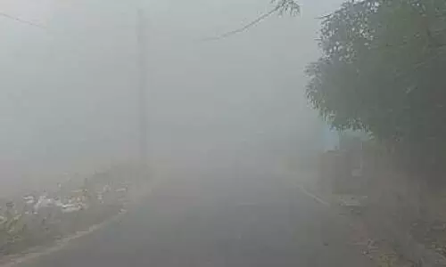 रायपुर : कोहरे के चलते धीमी गति से वाहन चलाने की सलाह रायपुर : कोहरे के चलते धीमी गति से वाहन चलाने की सलाह