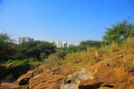 Haryana एनफोर्समेंट ब्यूरो अरावली में एंटी-माइनिंग ड्राइव तेज करेगा