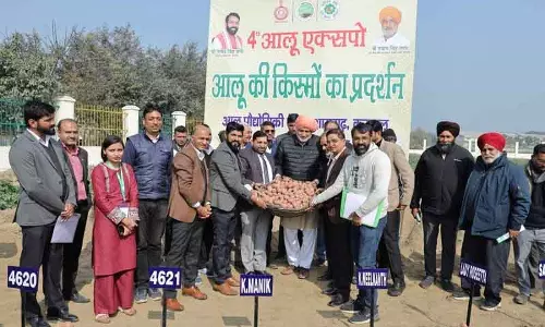 Karnal राज्य उच्च गुणवत्ता वाले आलू बीज उत्पादन में अग्रणी है: मंत्री