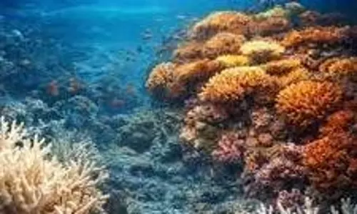 Science: 2026 के लिए वैज्ञानिकों ने दी चेतावनी Science: 2026 के लिए वैज्ञानिकों ने दी चेतावनी