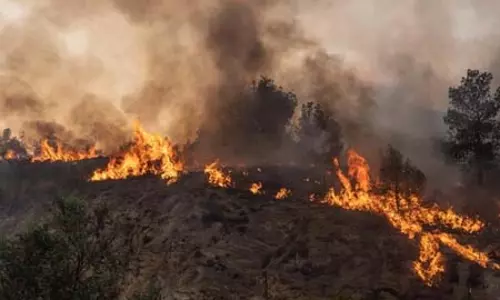 दक्षिण अफ्रीका के जंगलों में आग: वेस्टर्न केप में 1 लाख हेक्टेयर से ज्यादा जमीन जलकर खाक, सुरक्षित स्थानों पर भेजे गए लोग दक्षिण अफ्रीका के जंगलों में आग: वेस्टर्न केप में 1 लाख हेक्टेयर से ज्यादा जमीन जलकर खाक, सुरक्षित स्थानों पर भेजे गए लोग