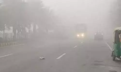 Punjab: कड़ाके की ठंड की लहर, मौसम विभाग ने जारी की चेतावनी