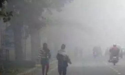 Mp Weather  : शीतलहर का कहर, किसानों के लिए जरूरी सलाह