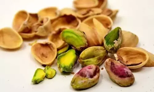 त्वचा में निखार तो दिल को रखे स्वस्थ, डाइट में शामिल करें पिस्ता त्वचा में निखार तो दिल को रखे स्वस्थ, डाइट में शामिल करें पिस्ता