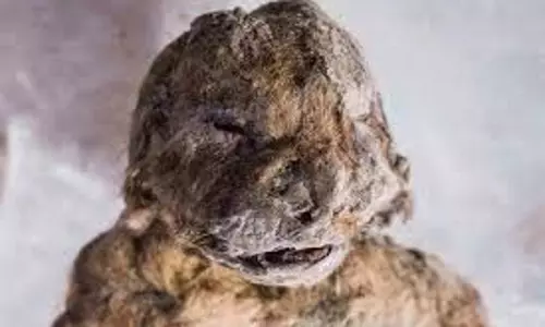 Siberian Mummy: साइबेरिया की बर्फ में मिली 300 साल पुरानी डेड बॉडी