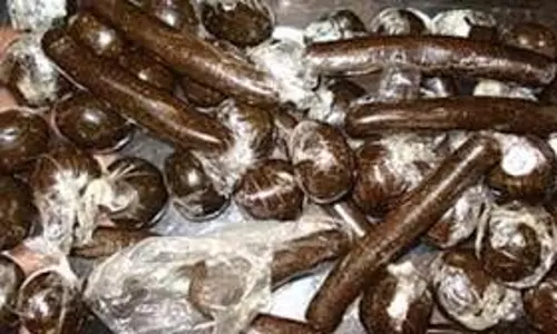 Himachal : पुलिस की कार्रवाई, स्कूटी सवार से बरामद हुई 524 ग्राम चरस Himachal : पुलिस की कार्रवाई, स्कूटी सवार से बरामद हुई 524 ग्राम चरस