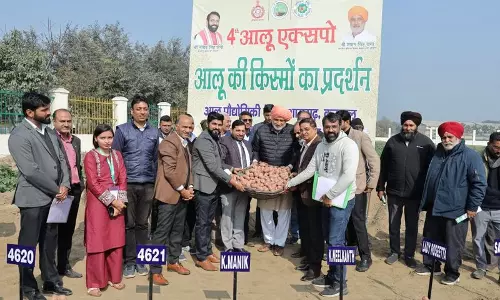 Haryana : राज्य उच्च गुणवत्ता वाले आलू बीज उत्पादन में अग्रणी है मंत्री Haryana : राज्य उच्च गुणवत्ता वाले आलू बीज उत्पादन में अग्रणी है मंत्री