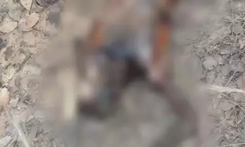 सड़ी-गली हालत में महिला की लाश मिली