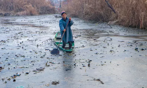 ठंड का असर बरकरार, Kashmir के मैदानी इलाकों में मौसम साफ