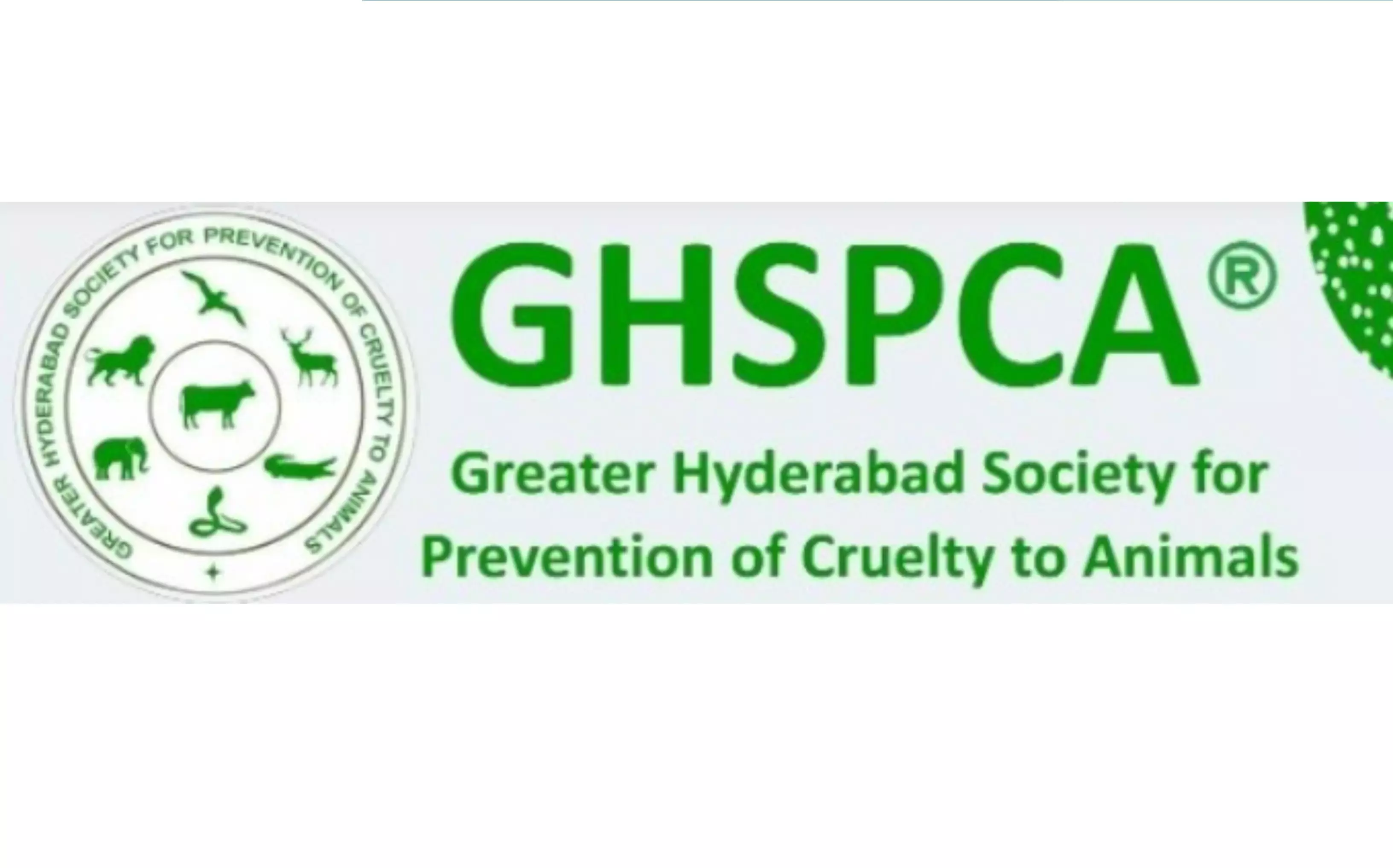 GHSPCA संक्रांति के दौरान चीनी मांझा पक्षियों के लिए खतरा