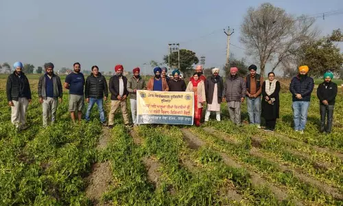 Amritsar: वैज्ञानिकों ने किसानों के साथ मटर और आलू की बीमारियों पर चर्चा की Amritsar: वैज्ञानिकों ने किसानों के साथ मटर और आलू की बीमारियों पर चर्चा की