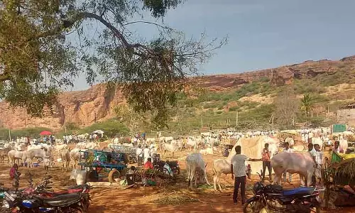 Badami: किसान मवेशी खरीदने में हिचकिचा रहे हैं