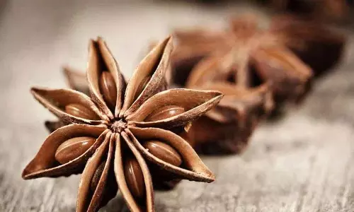 Star Anise वॉटर के हेल्थ बेनिफिट्स: आपको इसे रोज़ क्यों पीना चाहिए