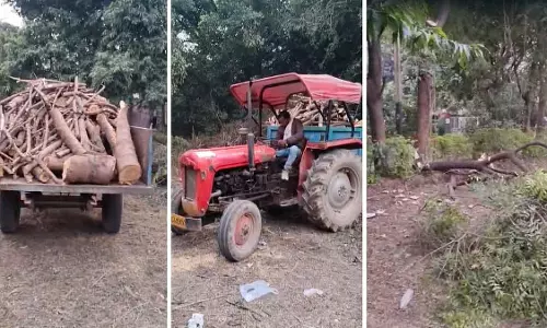 MP : ग्वालियर के जीवाजी यूनिवर्सिटी में ऑक्सीजन हब पर पुराने नीम और आम के पेड़ काटे गए MP : ग्वालियर के जीवाजी यूनिवर्सिटी में ऑक्सीजन हब पर पुराने नीम और आम के पेड़ काटे गए