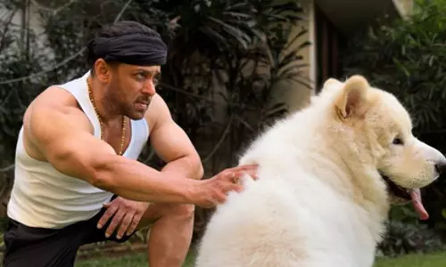 Salman खान ने संडे आउटिंग की झलक फैंस के साथ साझा की