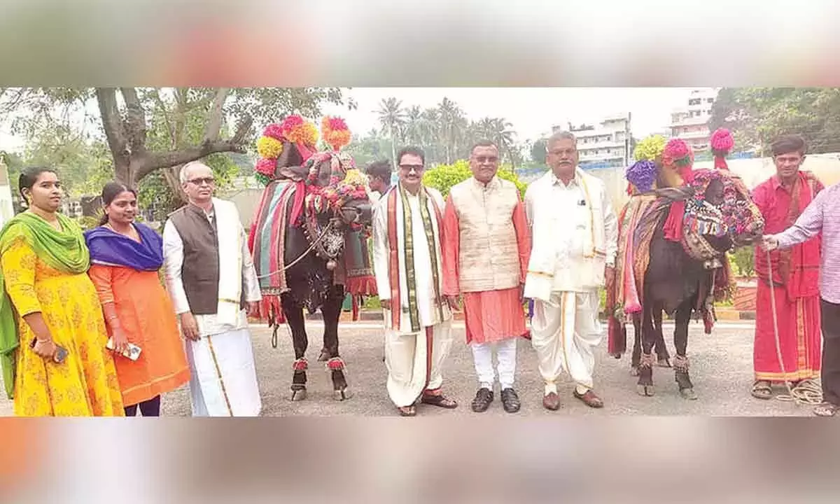 Andhra: सिद्धार्थ एकेडमी सांस्कृतिक गांव में बदल गई Andhra: सिद्धार्थ एकेडमी सांस्कृतिक गांव में बदल गई
